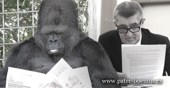 Pater Boemus, humoristický vzdělávací magazín, Wavrovský, gorila znaková řeč, Babiš prezident