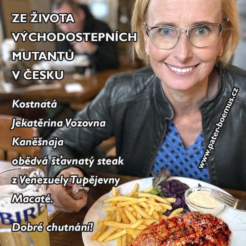 Maláčová a Konečná, prostě ji sežrala, Pater Boemus, konec sociální demokracie